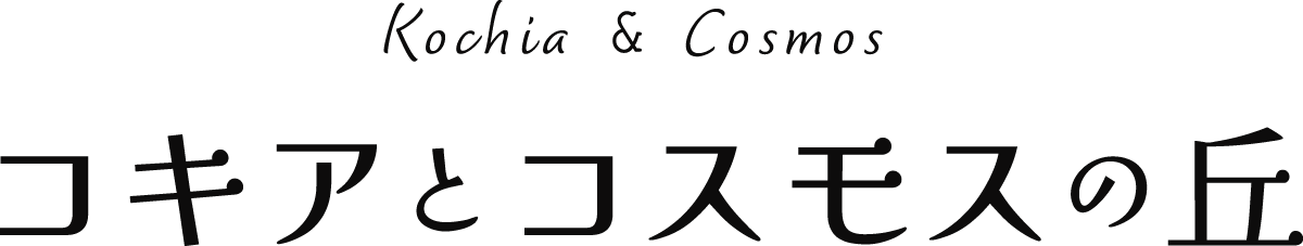 コキアとコスモスの丘