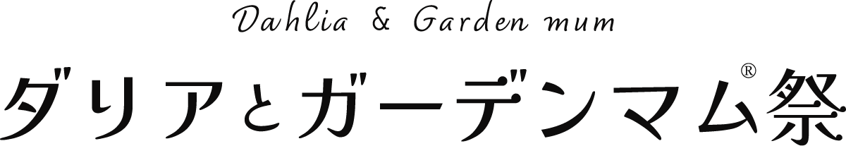 ダリアとガーデンマム祭