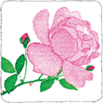 そらの花畑 世羅高原花の森